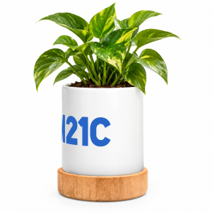 Ceramic Planter with Wooden Base